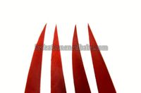 Plumes de dindon rouges naturelles pour le fletchage d'arrows de tir à l'arc, accessoires pour la fabrication de flèches DIY, la chasse et le tir sur cible