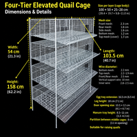 Système de cage d'élevage de cailles professionnel, conception en H optimisée pour la réduction de la consommation d'espace et l'agriculture à haut rendement