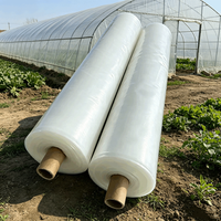 Film plastique pour serre agricole ETFE anti-UV à prix avantageux, couverture de serre verte