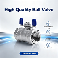 Válvula de Bola Manual KLION de Acero Inoxidable 201/304/316 NPT BSPT DN6, Resistente a Ácidos, con Manija de Mariposa, OEM, 1 Pieza
