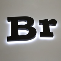 Enseigne personnalisée en acrylique et acier inoxydable, lettres 3D LED rétroéclairées, logo mural pour la publicité et l'utilisation automobile, étanche IP65