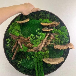 Vòng Tròn Bảo Quản Moss Tường Nghệ Thuật Bảng Điều Chỉnh Handmade Bằng Gỗ Trang Trí Hình Ảnh Màu Xanh Lá Cây Trang Trí Nội Thất Khung Moss Trang Trí Hoa Cây - Product Image 1