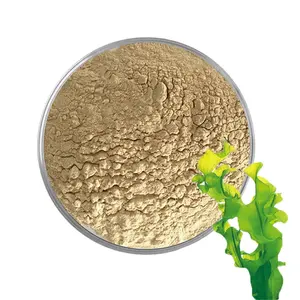 Miglior prezzo di qualità di alta qualità affidabile estratto di alghe fucoidan organico puro fucoidan in polvere