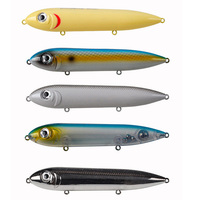 Leurre de pêche flottant Raylor 90mm 120mm 10.5g 20g pour eau salée et eau douce, non peint, type crankbait, pour la pêche au bar et à la truite.
