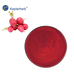 Extracto de Rábano Rojo, Colorante Natural de Antocianina, <span class=keywords><strong>Raphanus</strong></span> <span class=keywords><strong>Sativus</strong></span> E163, a Base de Plantas, Grado Alimenticio - Product Image 3