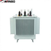 Transformateur de distribution d'énergie Wanbo-185 triphasé immergé dans l'huile, haute efficacité, faible perte, pour extérieur