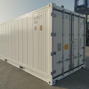 ตู้คอนเทนเนอร์แช่เย็นขนาด 20 ฟุต 20RF พร้อมมอเตอร์ Carrier/Thermo King สำหรับขาย - Product Image 1