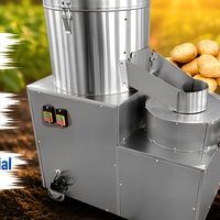 Nouvelle Machine à Peler le Taro Électrique, Éplucheuse et Trancheuse de Pommes de Terre, Laveuse de Pommes de Terre à Vendre