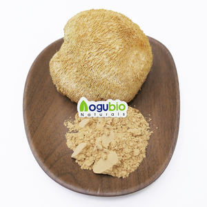 AOGUBIO bubuk surai singa jumlah besar organik suplemen jamur Vegan makanan super alami bubuk surai singa tubuh betina keseluruhan - Product Image 1