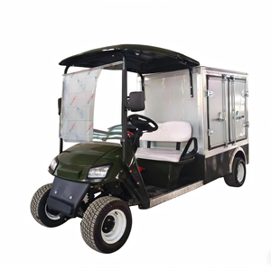 Voiturette de golf électrique personnalisable pour club de buggy, à prix abordable - Product Image 1