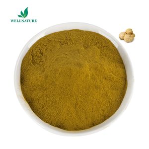 जैविक शीर्ष ग्रेड Hericium Erinaceus निकालने शेर की अयाल मशरूम पाउडर बीटा <span class=keywords><strong>Glucan</strong></span> - Product Image 1