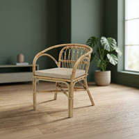 Fauteuil Dolvio en rotin polyvalent, idéal pour la détente et la vie en plein air – Confort optimal, produit phare