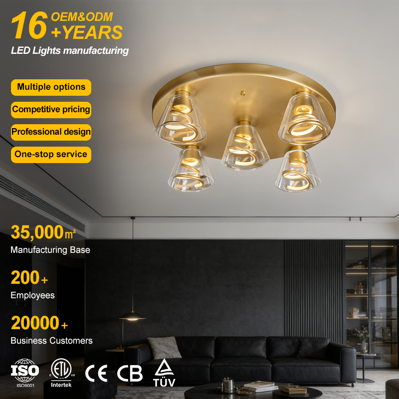 Good Choice Modern Decorative Indoor Ceiling Lighting Warm Yellow Tone 220V Input Voltage Led Ceiling Light