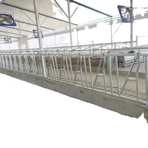 Livestock cattle panel farming equipment dairy cow headlocks for sale