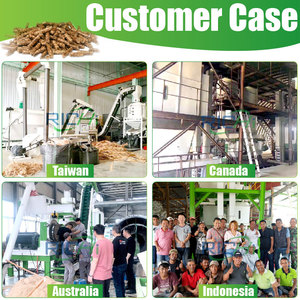Richi <span class=keywords><strong>2025</strong></span> 1-10 t/h mới sinh khối gỗ pelletizing thiết bị cho nhà máy điện - Product Image 3