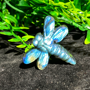 Bán buôn tinh thể tự nhiên đá màu xanh Flash Labradorite pha lê Labradorite chuồn chuồn khắc để trang trí - Product Image 5