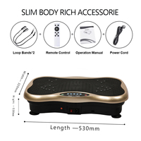Mini-vibroplateaux à écran tactile pour entraînement complet du corps à domicile – NOUVEAUTÉ !