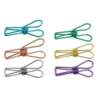 Clips de Papel Metálicos Bonitos, Suministros de Oficina, Mini Clips Coloridos para Fotos