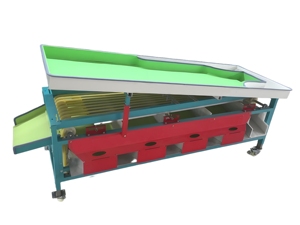 Nouvelle conception, machine de tri des pommes et des tomates à haute efficacité, personnalisée, de haute qualité - Product Image 3