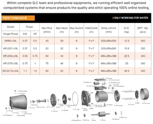 <span class=keywords><strong>Pompe</strong></span> à eau à haute pression automatique WATERPRO 220V, 0,75 CV, réservoir sous pression, moteur 100% cuivre, corps en fonte, pour la famille - Product Image 3