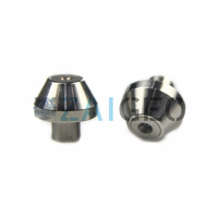 Wasserstrahl-Diamant düse 05077300 05136098 05077037 05121512 05114905 80086663 05114897 7800115 Diamant öffnung zum Wasserstrahl schneiden