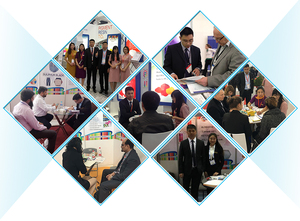 Cao sức mạnh Màu sắc và độ bền ánh sáng hữu cơ sắc tố bột màu sắc tố 184 đỏ cho mực - Product Image 5