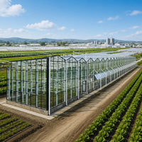Serre intelligente multi-travées en polycarbonate avec système de fertigation, adaptée à la culture hydroponique commerciale