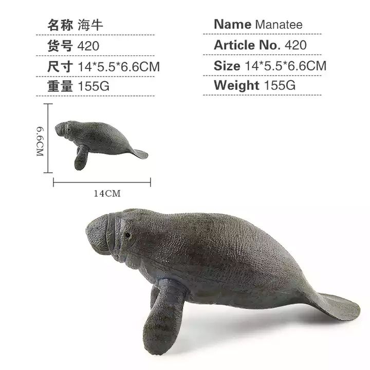 420/Éléphant de mer