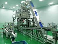 Compteur de vision haute précision VX6 intégré à une machine d'ensachage pour capsules de lessive, noix, bonbons, gommes, gelées, aliments pour animaux, œufs épicés