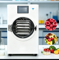 Huishoudelijke kleine vacuümvriesdroger voor het drogen van vlees, yoghurt en fruit