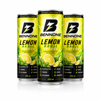 Boisson Énergisante Fruitée Menthe Citron Vert Gazeuse Taurine Vitamine B Électrolytes Sans Sucre Boisson Sportive OEM Marque Privée