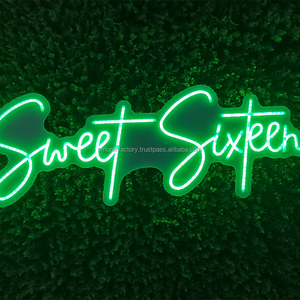 Enseigne au néon lisse sur mesure pour la décoration de fête d'événement coloré Bandes lumineuses à LED Crée une atmosphère romantique pour la publicité - Product Image 4