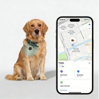 Pelacak Hewan Peliharaan Pintar Petop Kompatibel dengan Google Find My Device Pelacak Real-Time Global untuk Anjing Kucing Koper Kunci Dompet Hitam