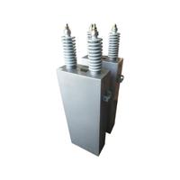 Condensador de Compensación de Potencia de Conexión Paralela HV de 10Kv 100Kvar de Fácil Instalación con Electrolito de Película de Polipropileno