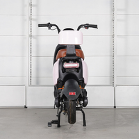 Moto électrique haute endurance pour adultes, intelligent, longue distance, roi de la course, tension 48v