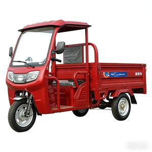 Tricycle électrique de fret Xinhaoze, directement de l'usine, 1000W 60V, carrosserie ouverte, 30km/h, autonomie 70-90km, 2 passagers, design personnalisable - Product Image 2