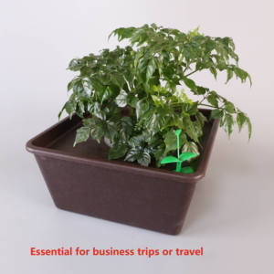 Sistema di Auto-Irrigazione per Piante in Vaso con Sensore di Umidità e Aspirazione Automatica dell'Acqua, Ideale per Casa, Ufficio, Giardino, Cortile - Product Image 2