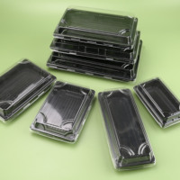 Barquette à sushi jetable de qualité supérieure, rectangulaire, en plastique, pour sashimi, boîte d'emballage alimentaire à emporter, sans BPA