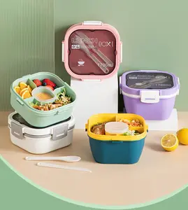 Groothandel Luchtdichte Voedselopslag Draagbare Saladebox Dubbellaags Plastic Bento Lunchbox Met Kruidenrooster