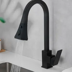 RV CARAVAN CAMPER VAN MOTORHOMES PUBLIC HOTEL HOSPITAL KITCHEN BATHROOM SINK FAUCET with Pullable FLEXIBLE SHOWERHEAD