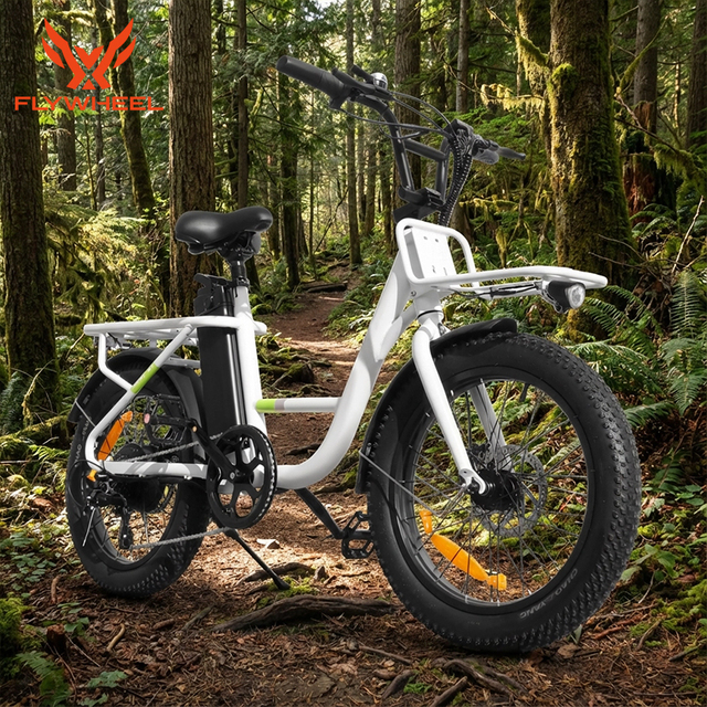 Factory 7 Speeds Electric Cargo Bike 48V/500W Rear Hub Motor LCD Panel Delivery Electric Bicycle for Adult