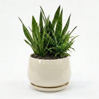 Pot de fleurs personnalisé OEM ODM, nouveau design, décoration de jardin et de maison, pots à fleurs en céramique