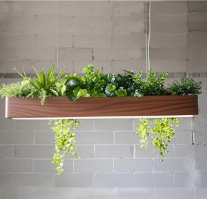 Jardinière suspendue avec lumière LED, boîte en <span class=keywords><strong>bois</strong></span> pour plantes, luminaire de culture pour la décoration de la maison et des cafés - Product Image 1