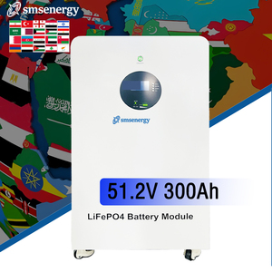 リチウム電池LiFePO4リチウム鉄リン酸電池SMSグレード51.2V 300Ah 15Kwhホームエネルギー貯蔵電池 - Product Image 1