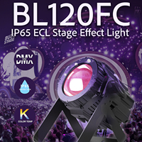 Lampu LED Par BL120FC LQE OEM/ODM 120W Panggung IP65 RGBW Pencahayaan Luar Ruangan DJ/Klub DMX512/Kontrol Suara Paduan Aluminium 2800K-7200K