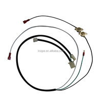 Kabel Harness Konektor Kustom Berkualitas Tinggi dengan Konektor JST Molex