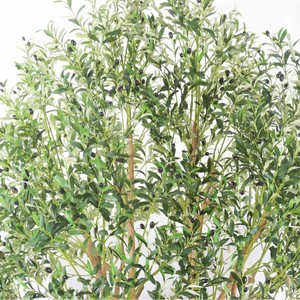 <span class=keywords><strong>Vendita</strong></span> calda di olivo di seta artificiale per interni albero di olivo gigante all'aperto di plastica 8ft - Product Image 2