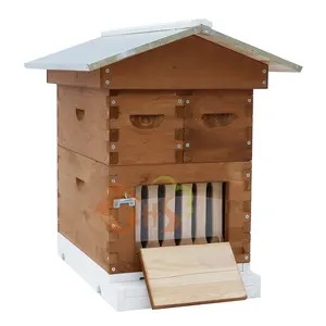 Boîte de nid d'abeille en bois Boîte de ruches d'apiculture Ruche d'élevage de reine à vendre