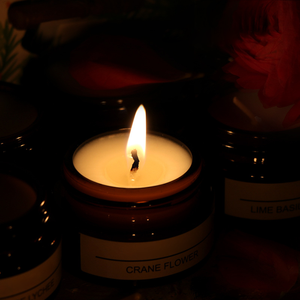 Velas Aromáticas Artesanales <span class=keywords><strong>de</strong></span> <span class=keywords><strong>Coco</strong></span> y Cera <span class=keywords><strong>de</strong></span> Soya en Tarro Ámbar, Mini Barras Navideñas <span class=keywords><strong>de</strong></span> Molly Glory, Venta al Por Mayor - Product Image 4