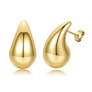 Hoop Earrings stud earrings Stainless Steel luxury plating 14K Gold Earrings Design for Women and Girls